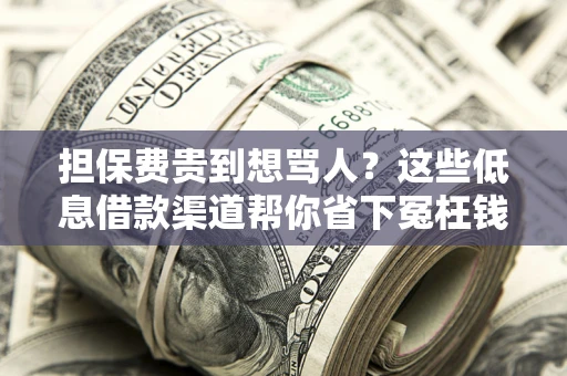 济南担保费贵到想骂人？这些低息借款渠道帮你省下冤枉钱
