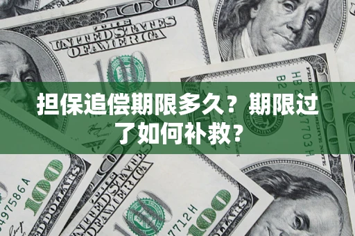 济南担保追偿期限多久？期限过了如何补救？