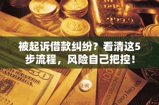 济南被起诉借款纠纷？看清这5步流程，风险自己把控！
